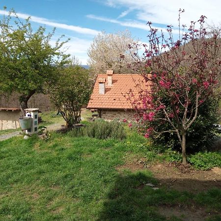 Bed and Breakfast Ca' De L'Ase Pontinvrea Exterior foto